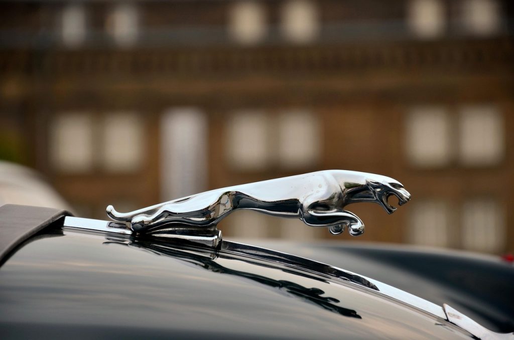 Close-up of chrome jaguar hood ornament on a car