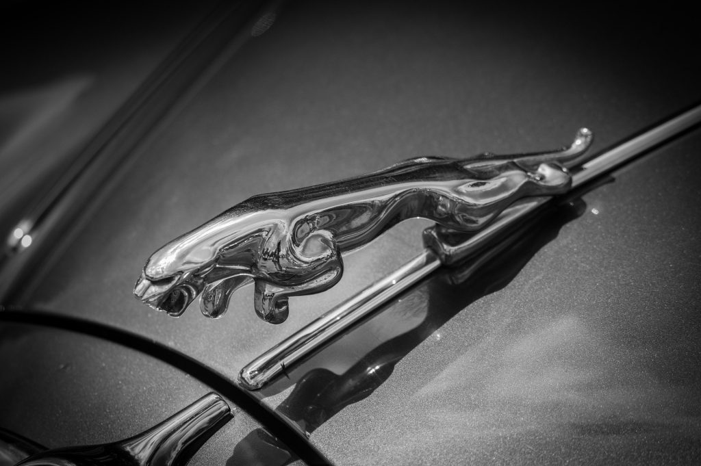 Close-up of a chrome Jaguar leaping cat bonnet emblem on a classic car
